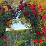 Salih's Gartenservice