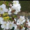 Hausservice-Weserbergland