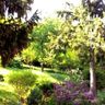 Gartenarbeit 