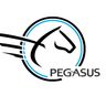 Pegasus GbR