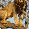 Aslan