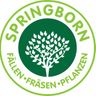 Baumpflege Springborn