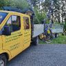 Baumdienst Pfeifer