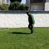 Abos,s Gartenbau
