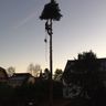 Grünberg SKT  Baumpflege und Gartenpflege