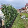 Hausmeisterservice Aleksov