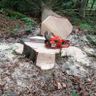 Forst- und Brennholz Donaubauer