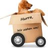 Hanssen Transporte Umzüge&Entrümpelung