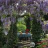 Gartenpflege Citaku