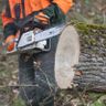 BABILONWERK Gebäudeservice
