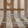 SallovaFußbodenbau