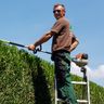 Gartenservice Stepien