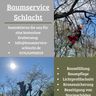 Baumservice Schlacht