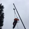 Landschafts- und Baumpflege Cheret