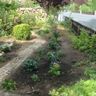 Grünteam Lüneburg - Gartenservice