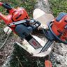 B&R Baum und Gartenpflege 