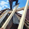 Holz und Bautenschutz