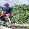 Graupnersforstdienstleistungen 