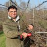Obstbaumschnitt Alexandru Burlea