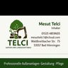 Telci Gala bau