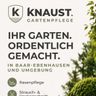 Knaust