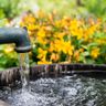 Brunnen- und Gartenservice Wolter