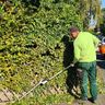 Gartenservice
