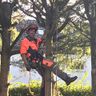 Der Wald ruft! Jagd- & Forstdienstleistungen