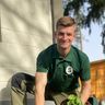Maximilian Sedlak - Garten und Landschaftspflege