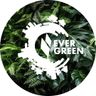 Evergreen Energiesysteme GmbH