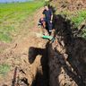 Haus- und Gartenservice Yevgen Akhramyeyev