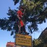 Keppler Baum-und Landschaftspflege