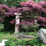 ✪ Gartenparadies ✪