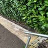 gartenbau Canters