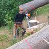Forstdienstleistung Meinhold