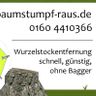 baumstumpf-raus