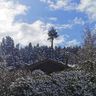 Marian Garten-und Forstwirtschaft 