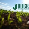 Blickfang GbR