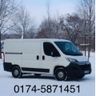 Vogel-Kleintransporte & Dienstleistungen