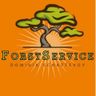 Forstservice D.Schattevoy