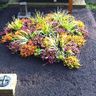 Garten-Baum- und Grabpflege Gross