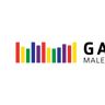 GASHI Malerbetrieb