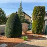 Garten und Landschaftspflege Widerspan