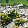HGS-Lemser Haus/Garten-Service