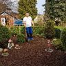 Baum Haus & Garten