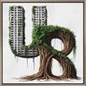 Urban Roots