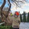 Baum,-Garten und Forstservice M. Bäcker