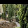 DT Gartenservice & Pflasterreinigung