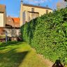 TidyGarden