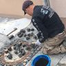 Shaban Garten-Service